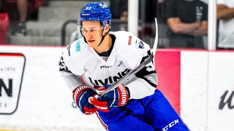 Demidov et Zharovsky se font plaisir dans la LSHL