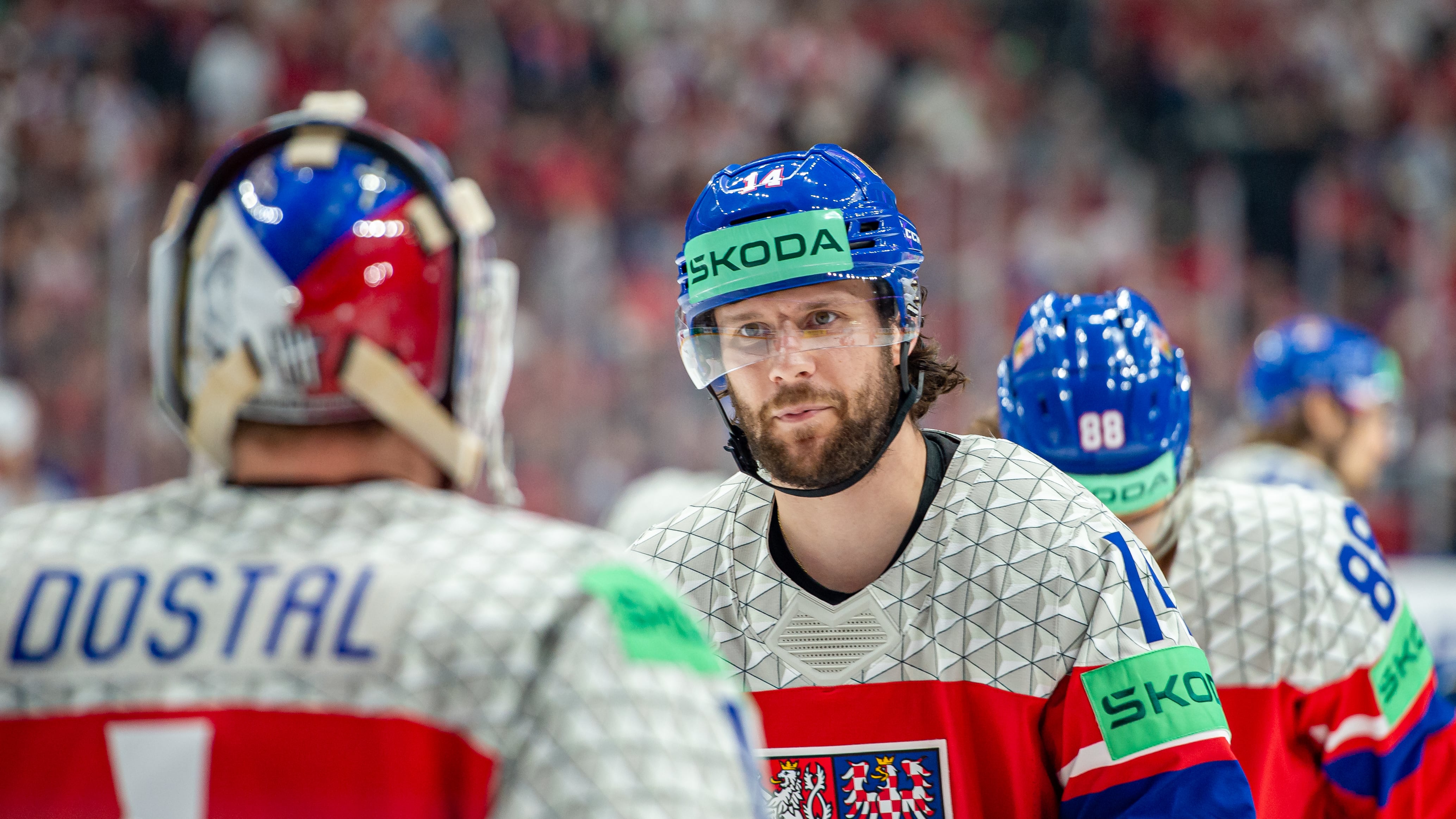 Pavel Zacha
