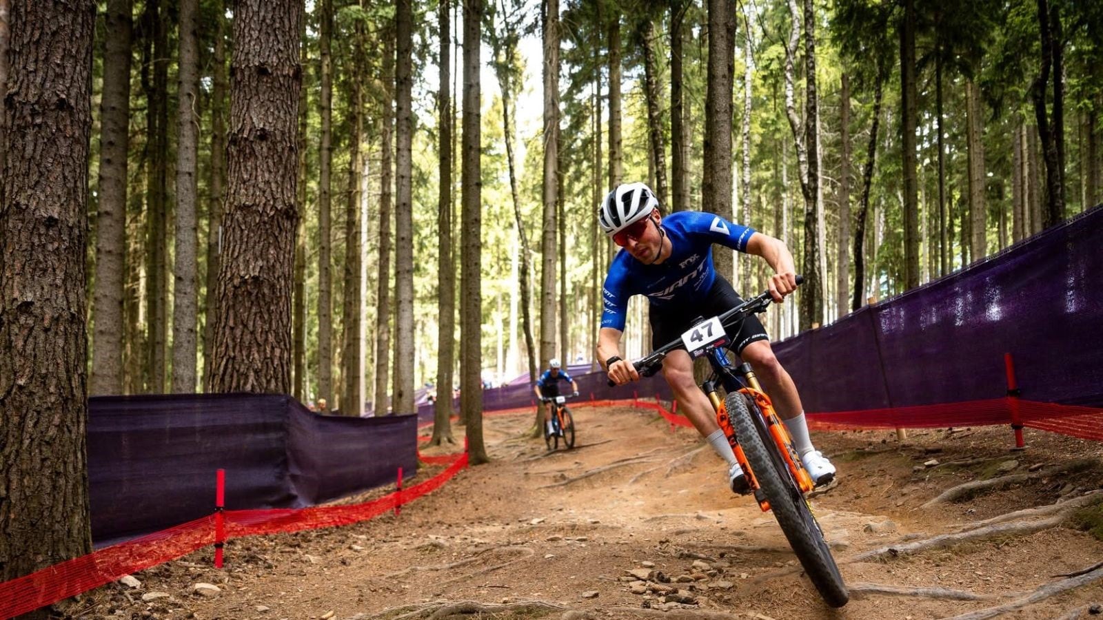 Carter Woods