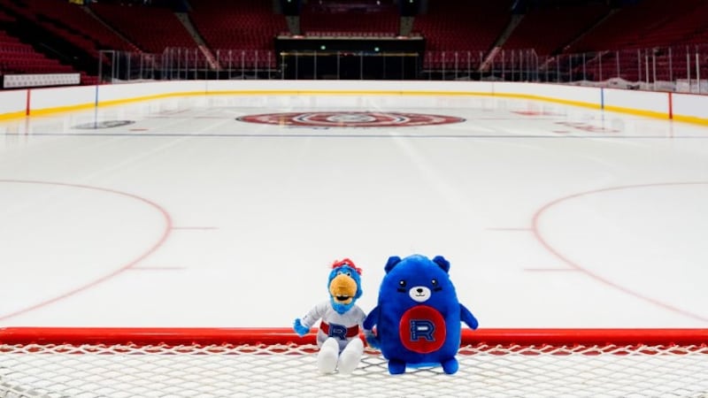 Le Rocket tiendra son match du lancer du toutou au Centre Bell
