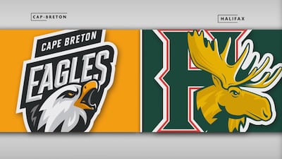 Eagles 6 - Mooseheads 3
