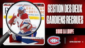 Deux gardiens recrues en séries : que devra faire St-Louis?