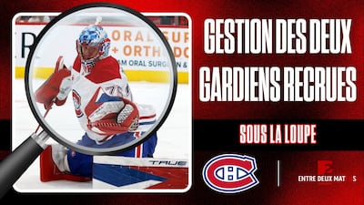 Deux gardiens recrues en séries : que devra faire St-Louis?