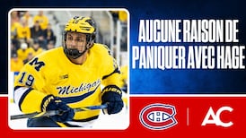 Pas de panique avec le dossier Michael Hage