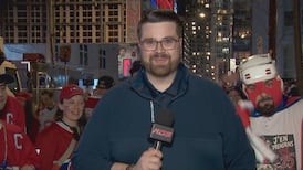 Rien n’est perdu aux yeux des partisans