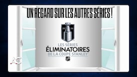 Le portrait de quelques autres séries dans la LNH