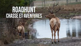 Roadhunt: chasse et aventures