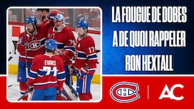 La fougue de Dobes : un couteau à double tranchant