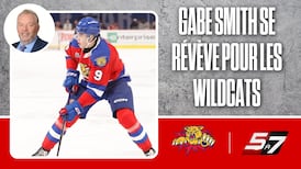 L'éclosion de Gabe Smith