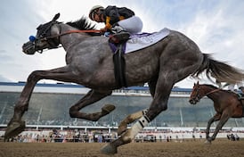 Napoleon Solo remporte le 151e Preakness Stakes