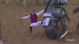 Un cheval s'emporte avant le départ du Kentucky Derby
