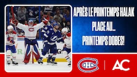 Place au printemps Dobes! 