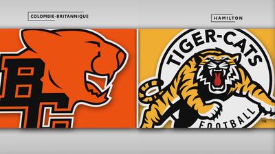 Lions 27 - Tiger-Cats 41