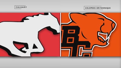 Stampeders 41 - Lions 33