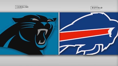 Panthers 14 - Bills 29