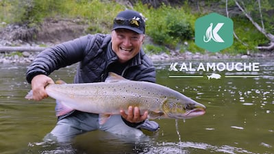 Kalamouche