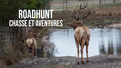 Roadhunt: chasse et aventures