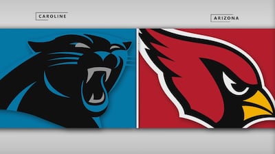 Panthers 33 - Cardinals 30