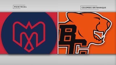Alouettes 29 - Lions 48